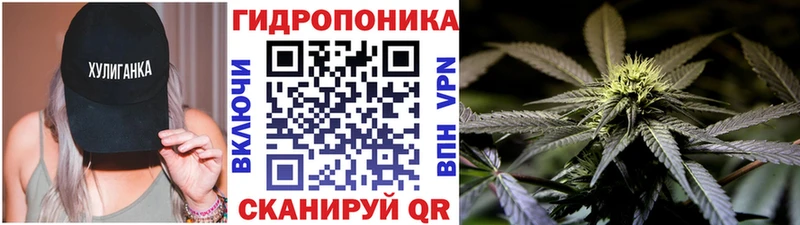 цена   Чехов  Конопля гибрид 